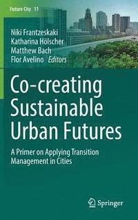 bokomslag Co-creating Sustainable Urban Futures