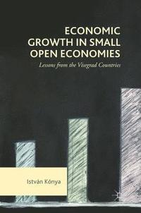 bokomslag Economic Growth in Small Open Economies