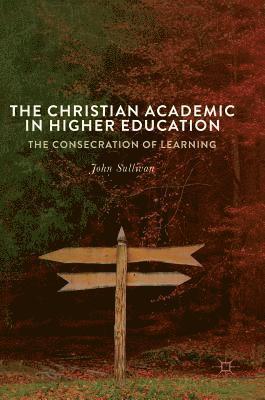 Christian Academic in Higher Education