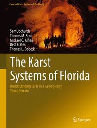 bokomslag The Karst Systems of Florida