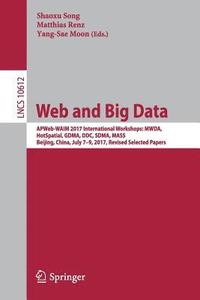 bokomslag Web and Big Data