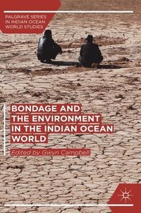 bokomslag Bondage and the Environment in the Indian Ocean World