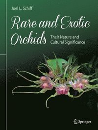 bokomslag Rare and Exotic Orchids