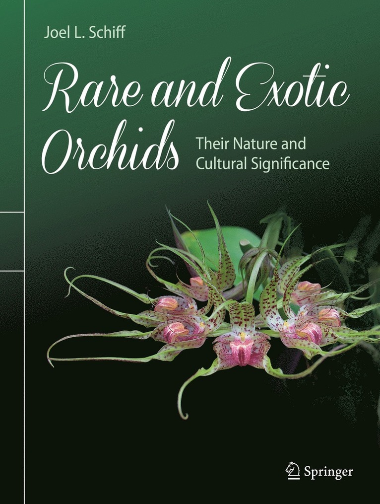 Rare and Exotic Orchids