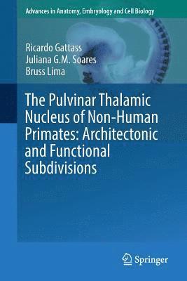 Ricardo Gattass, Juliana G.M. Soares, Bruss Lima, Juliana G. M. Soares - Pulvinar Thalamic Nucleus of Non-Human Primates: Architectonic and Functional Subdivisions, Häftad