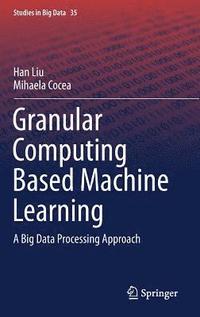 bokomslag Granular Computing Based Machine Learning