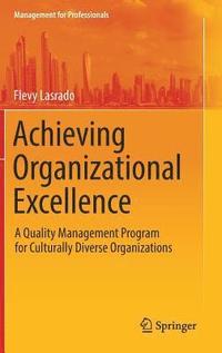 bokomslag Achieving Organizational Excellence