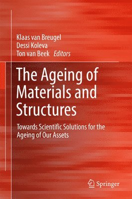 Klaas van Breugel, Dessi Koleva, Ton van Beek, Klaas Van Breugel, Klaas Van Breugel - Ageing of Materials and Structures, Inbunden