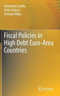 bokomslag Fiscal Policies in High Debt Euro-Area Countries