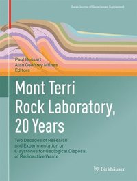 bokomslag Mont Terri Rock Laboratory, 20 Years