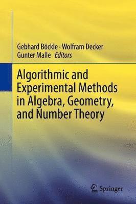 bokomslag Algorithmic and Experimental Methods  in Algebra, Geometry, and Number Theory