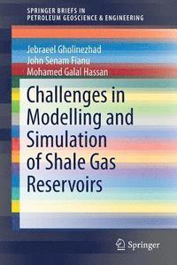 bokomslag Challenges in Modelling and Simulation of Shale Gas Reservoirs