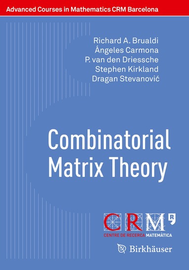 Richard A. Brualdi, Ángeles Carmona, P. van den Driessche, Stephen Kirkland, Dragan Stevanović, Andrés M. Encinas, Margarida Mitjana - Combinatorial Matrix Theory, Häftad