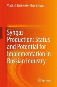 bokomslag Syngas Production: Status and Potential for Implementation in Russian Industry