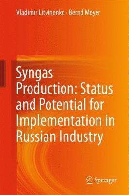 bokomslag Syngas Production: Status and Potential for Implementation in Russian Industry