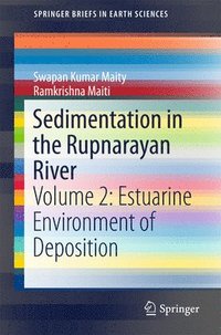 bokomslag Sedimentation in the Rupnarayan River