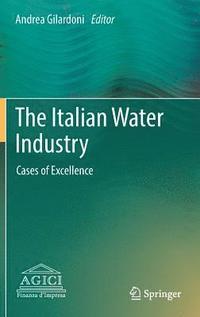 bokomslag The Italian Water Industry