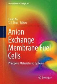 bokomslag Anion Exchange Membrane Fuel Cells