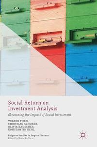 bokomslag Social Return on Investment Analysis
