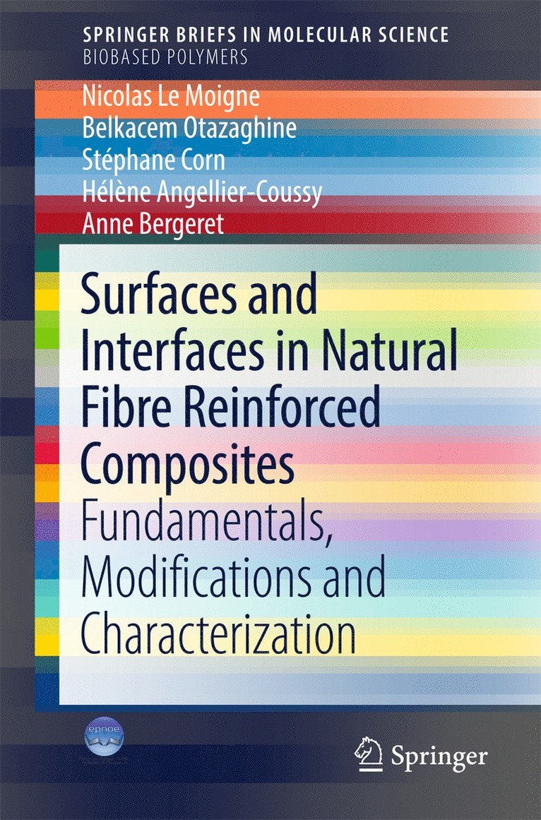 Nicolas Le Moigne, Belkacem Otazaghine, Stéphane Corn, Hélène Angellier-Coussy, Anne Bergeret - Surfaces and Interfaces in Natural Fibre Reinforced Composites, Häftad