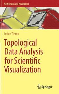 bokomslag Topological Data Analysis for Scientific Visualization