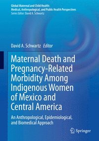 bokomslag Maternal Death and Pregnancy-Related Morbidity Among Indigenous Women of Mexico and Central America