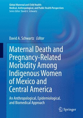 bokomslag Maternal Death and Pregnancy-Related Morbidity Among Indigenous Women of Mexico and Central America