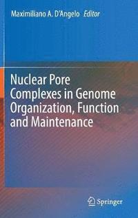 bokomslag Nuclear Pore Complexes in Genome Organization, Function and Maintenance