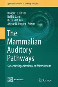 bokomslag The Mammalian Auditory Pathways