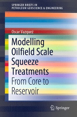 bokomslag Modelling Oilfield Scale Squeeze Treatments