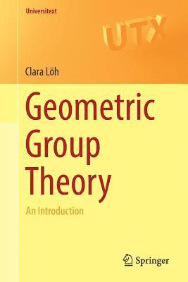 bokomslag Geometric Group Theory