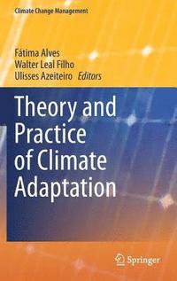bokomslag Theory and Practice of Climate Adaptation