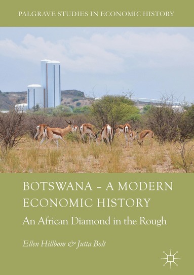 bokomslag Botswana - A Modern Economic History