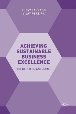 bokomslag Achieving Sustainable Business Excellence