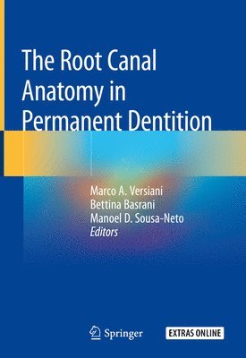 bokomslag The Root Canal Anatomy in Permanent Dentition