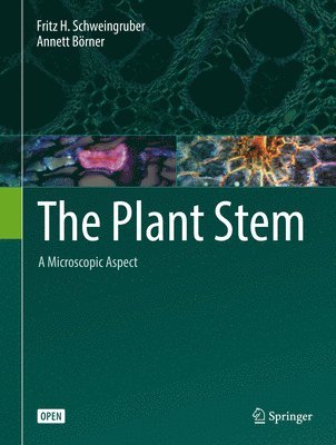 The Plant Stem 1