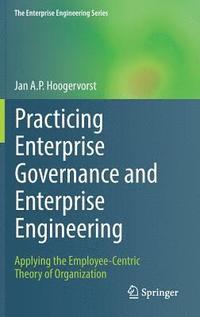 bokomslag Practicing Enterprise Governance and Enterprise Engineering