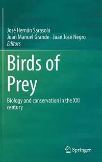 bokomslag Birds of Prey