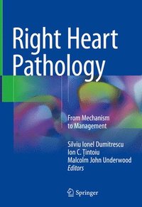 bokomslag Right Heart Pathology