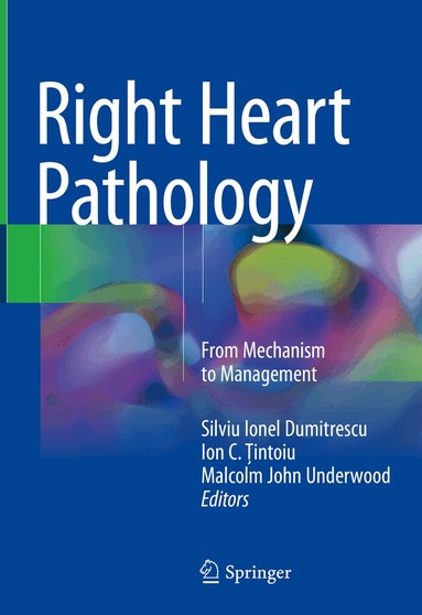 Silviu Ionel Dumitrescu, Ion C. Ţintoiu, Malcolm John Underwood - Right Heart Pathology, Inbunden