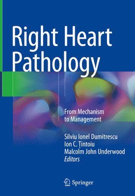 bokomslag Right Heart Pathology