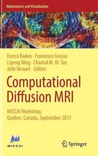 bokomslag Computational Diffusion MRI