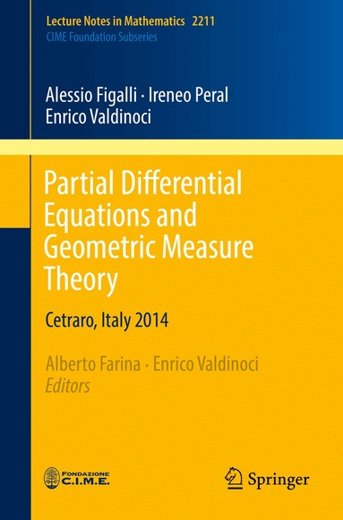 Alessio Figalli, Ireneo Peral, Enrico Valdinoci, Alberto Farina, Enrico Valdinoci - Partial Differential Equations and Geometric Measure Theory, Häftad