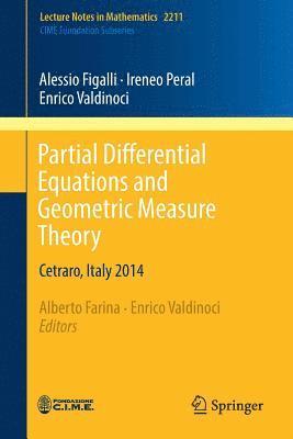 bokomslag Partial Differential Equations and Geometric Measure Theory