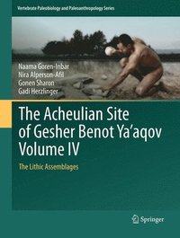 bokomslag The Acheulian Site of Gesher Benot Yaaqov Volume IV