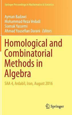 bokomslag Homological and Combinatorial Methods in Algebra