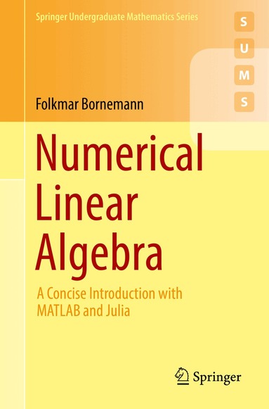 Folkmar Bornemann - Numerical Linear Algebra, Häftad