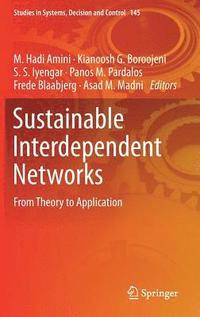 bokomslag Sustainable Interdependent Networks
