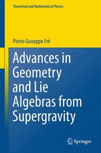 bokomslag Advances in Geometry and Lie Algebras from Supergravity