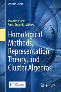 bokomslag Homological Methods, Representation Theory, and Cluster Algebras